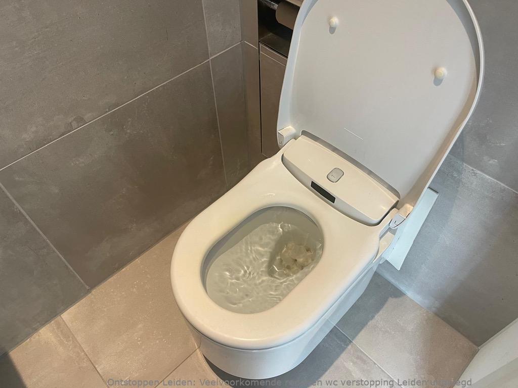 Veelvoorkomende redenen wc verstopping Leiden uitgelegd